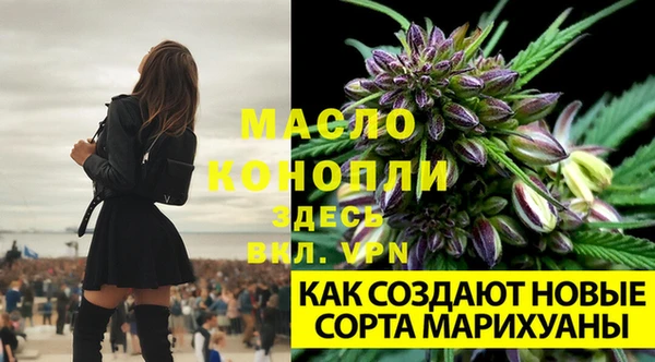 кокс Нефтегорск