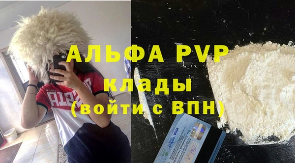 стаф Нефтекумск