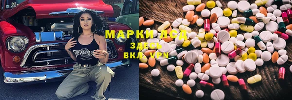 стаф Нефтекумск
