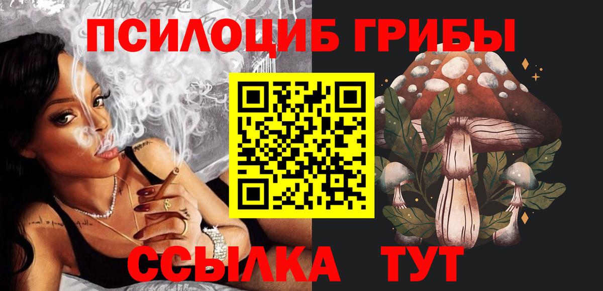 Псилоцибиновые грибы мицелий  Псилоцибиновые грибы прущие грибы  Всеволожск  Вход с VPN 