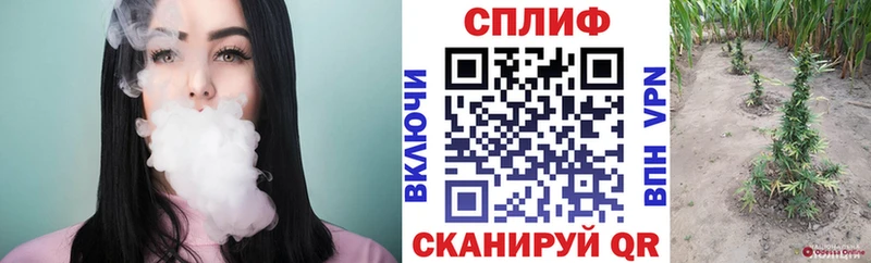 дарнет шоп  Всеволожск  Каннабис гибрид 